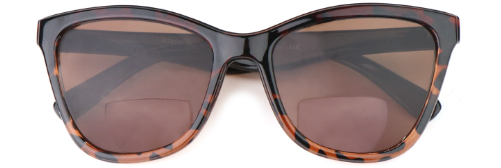 CLEAR VISION, STYLISH DESIGN: NEW EDGE EYEWEAR R532BF/T TINTED BIFOCALS