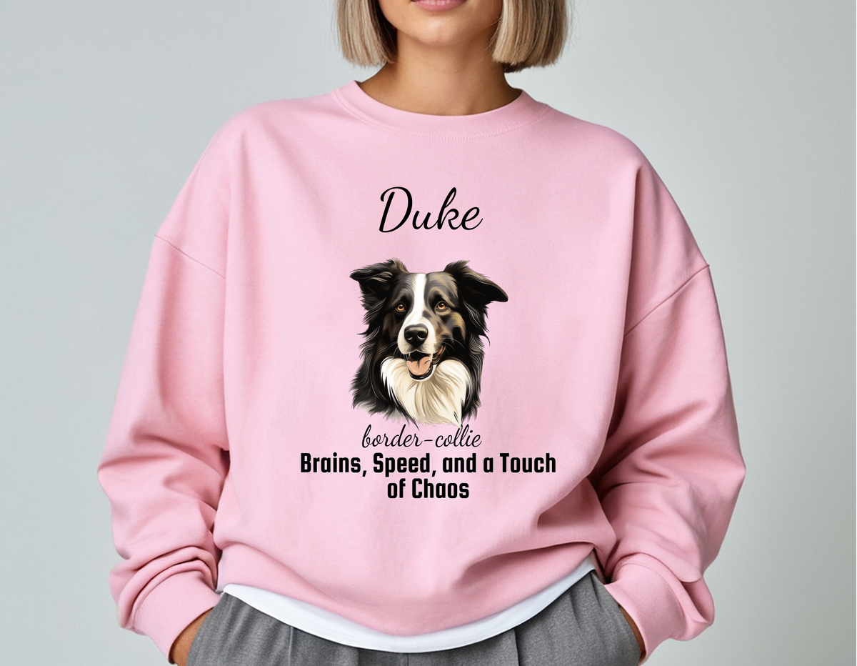 Personalized Border Collie Sweatshirt – “Brains, Speed, and a Touch of Chaos” | Custom Unisex Christmas Gift, Funny Dog Lover Sweatshirt, Pet Gift for Him or Her