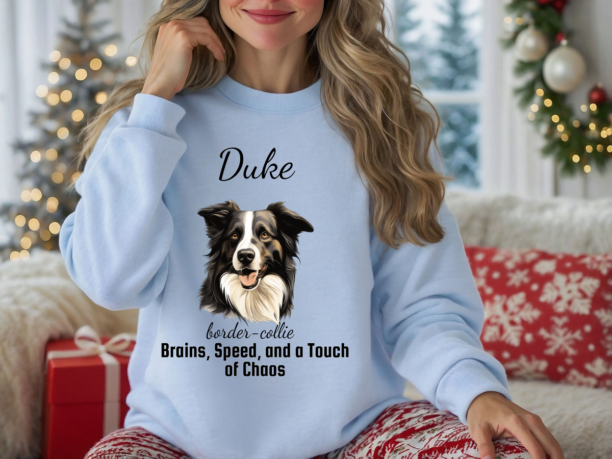 Personalized Border Collie Sweatshirt – “Brains, Speed, and a Touch of Chaos” | Custom Unisex Christmas Gift, Funny Dog Lover Sweatshirt, Pet Gift for Him or Her