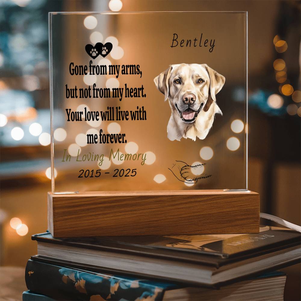 Custom Pet Memorial Plaque | Personalized Acrylic Photo Keepsake | Dog & Cat Loss Gift | Forever in My Heart Remembrance Decor