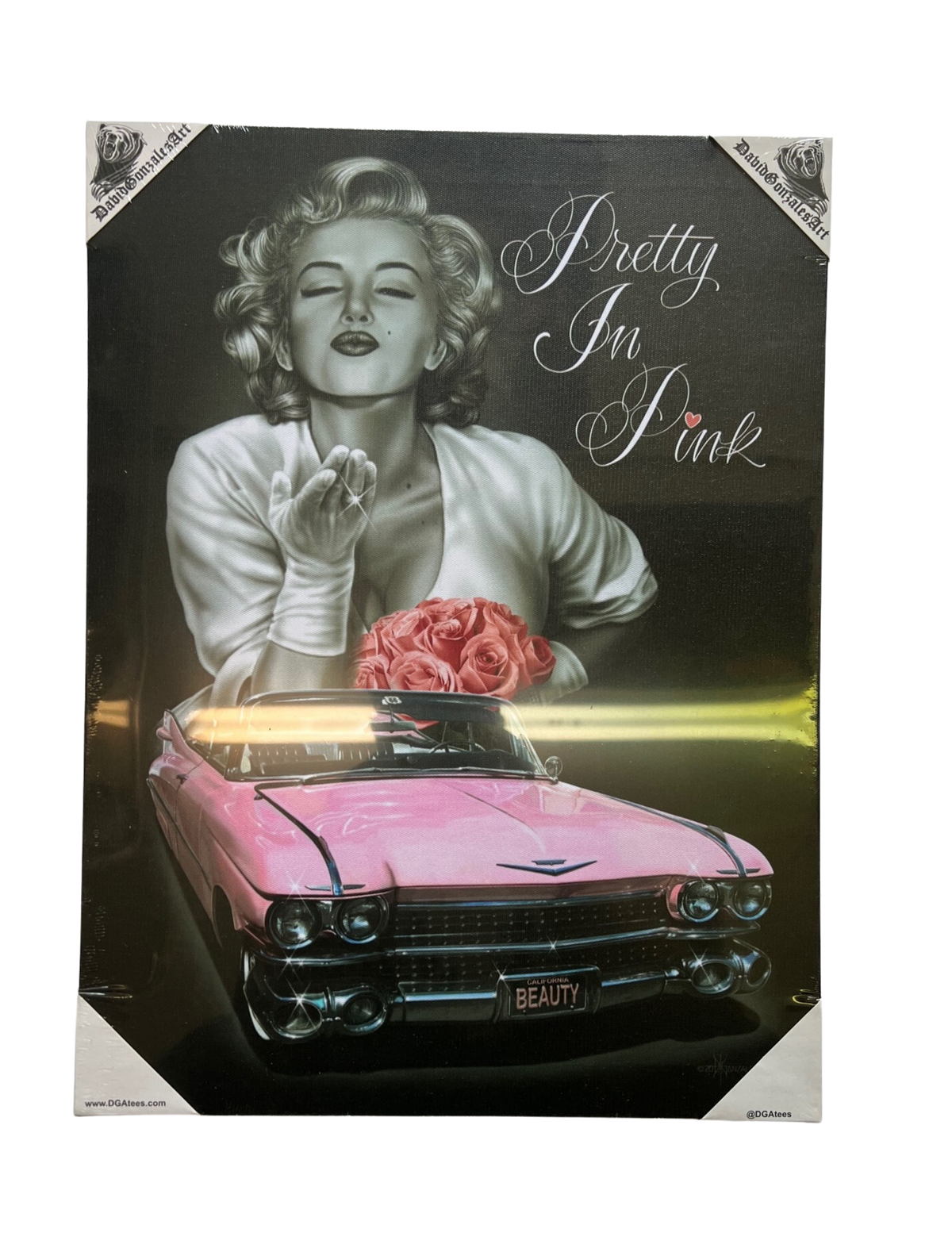 PRETTY IN PINK - SMALL CANVAS ART - 12" X 16" FROM NEW EDGE GIFTS & NOVELTIES