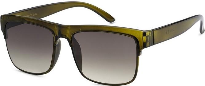 Wayfarer Style Sunglasses